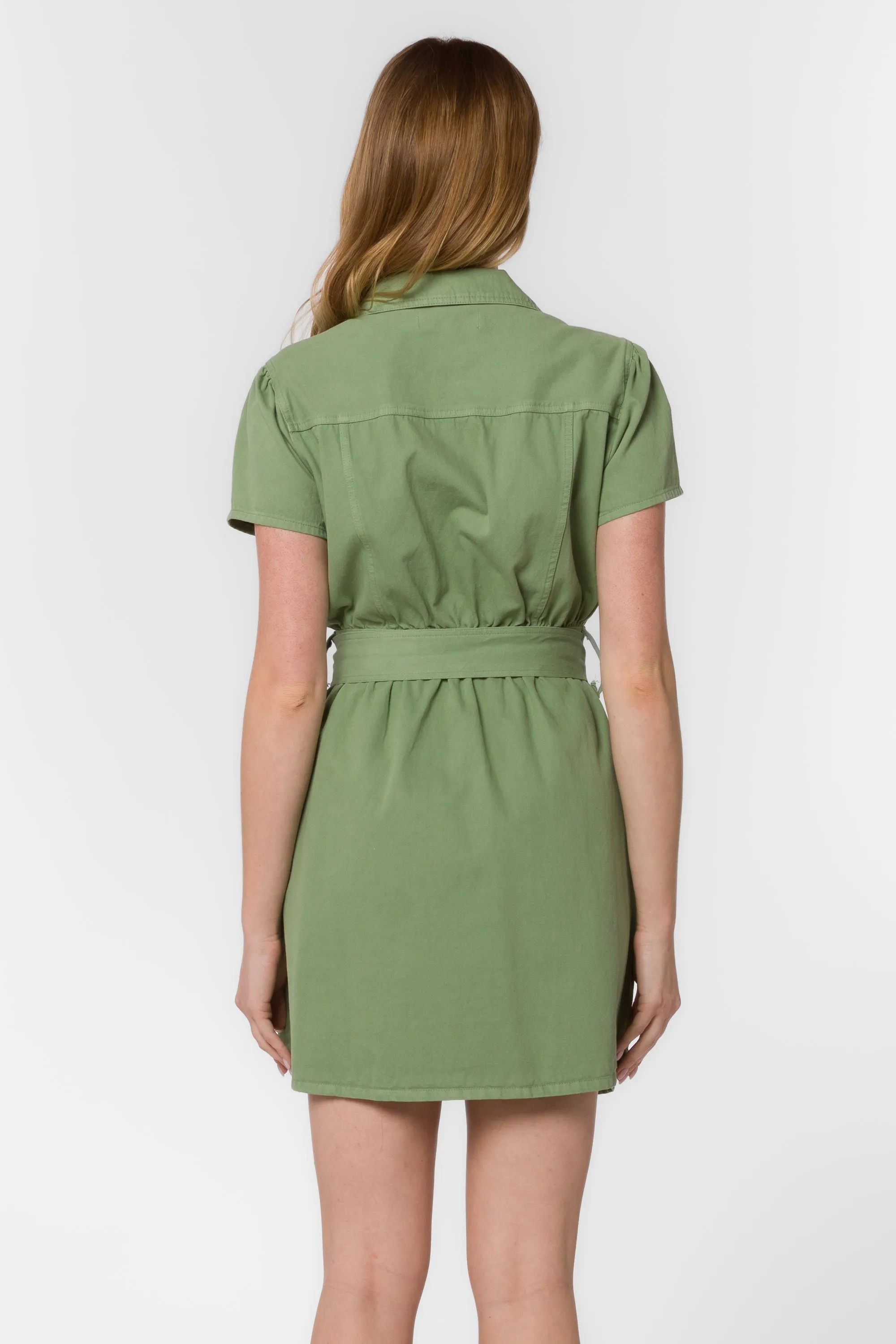 Fonda Tea Leaf Green Dress